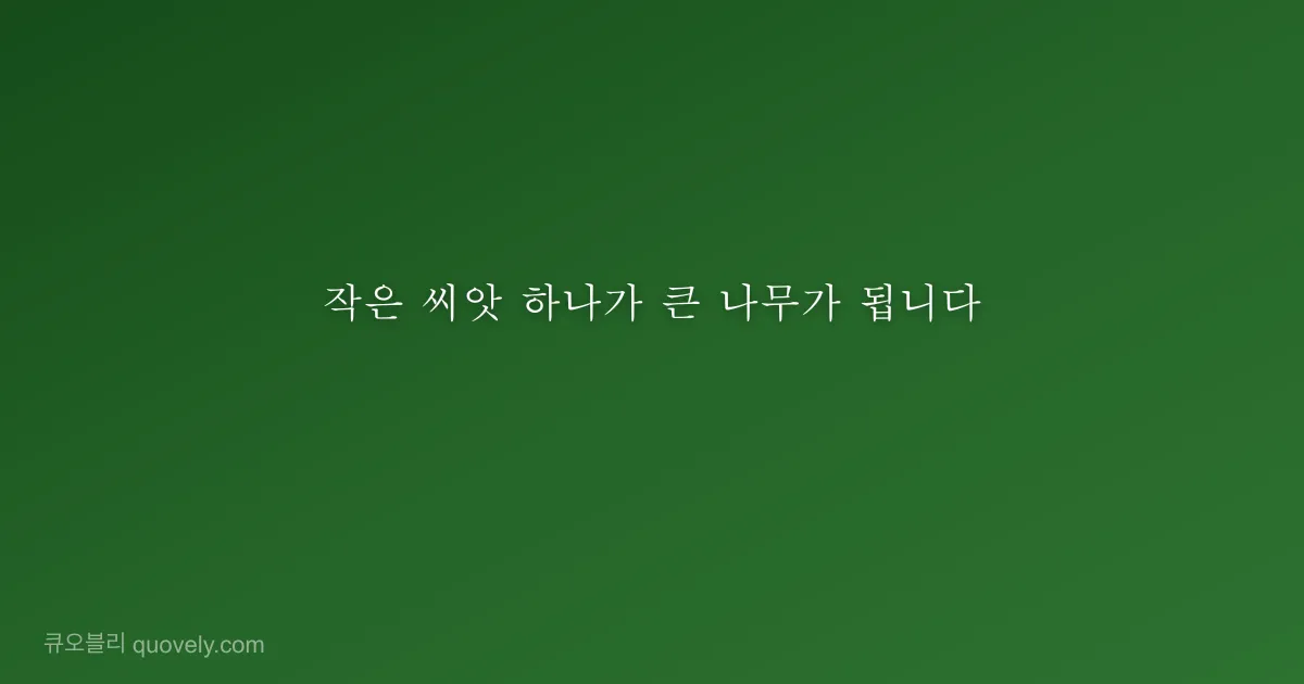 작은 씨앗 하나가 큰 나무가 됩니다 — 성경 말씀 이미지