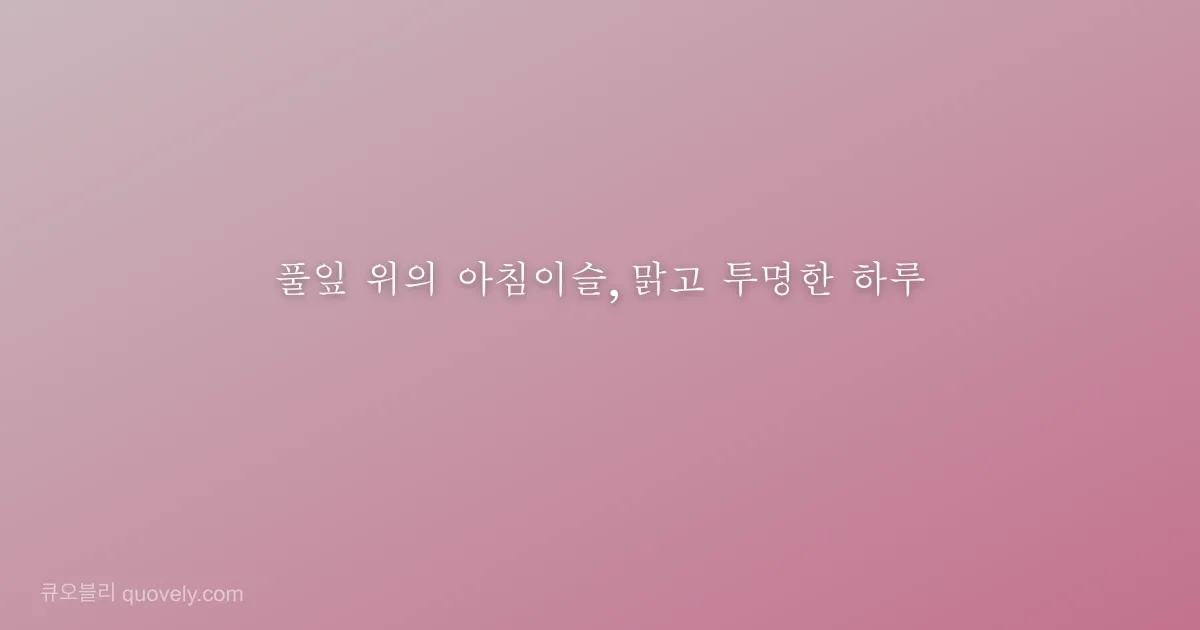 풀잎 위의 아침이슬, 맑고 투명한 하루 — 시 글귀 이미지