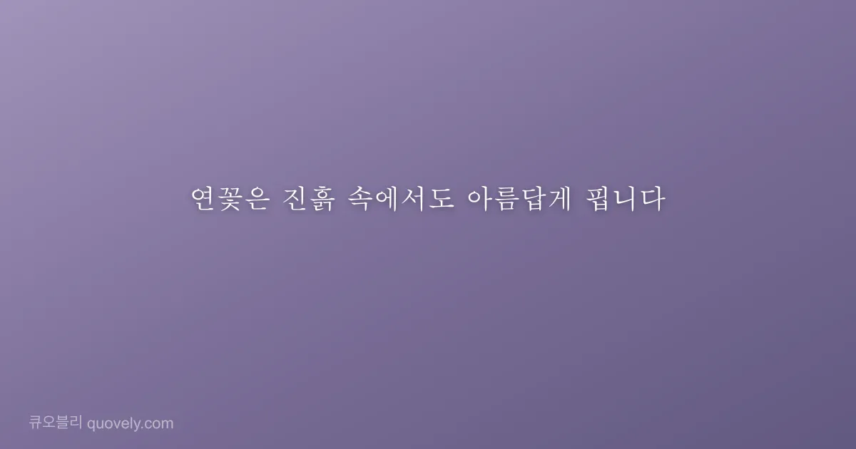 연꽃은 진흙 속에서도 아름답게 핍니다 — 시 글귀 이미지
