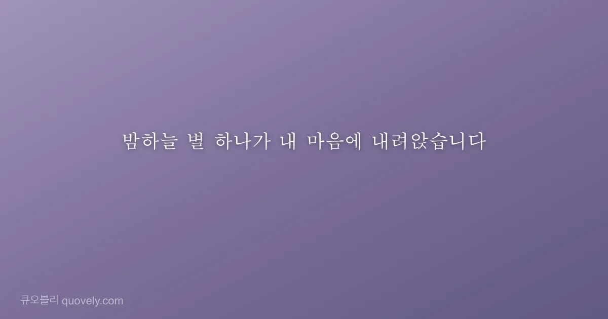 밤하늘 별 하나가 내 마음에 내려앉습니다 — 시 글귀 이미지