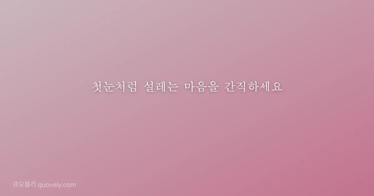 첫눈처럼 설레는 마음을 간직하세요 — 시 글귀 이미지