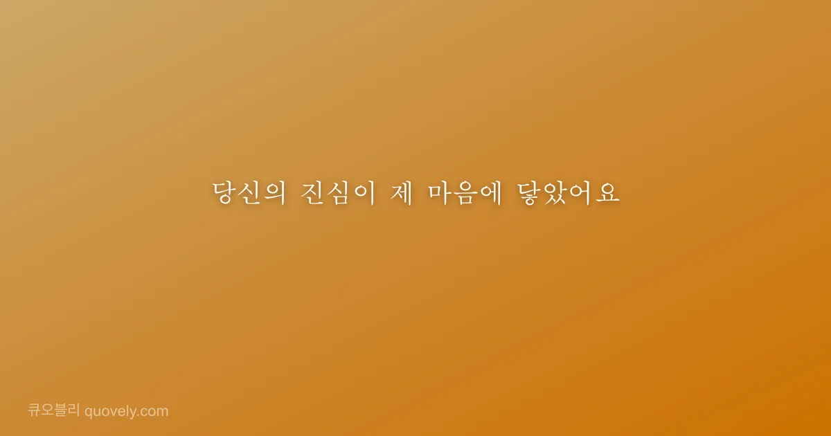 당신의 진심이 제 마음에 닿았어요 — 감사 인사 이미지